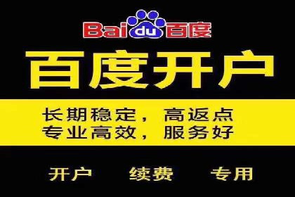 Sem优化公司成功案例：转化率提升之道