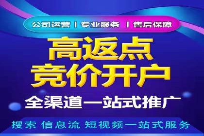 百度竞价数据分析：实战案例与优化策略